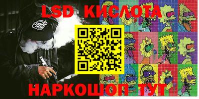 гидропоника Краснокаменск