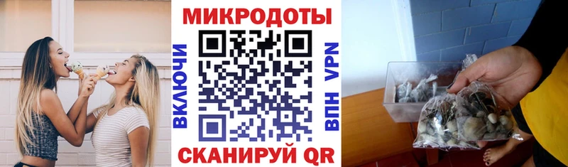 Галлюциногенные грибы прущие грибы Кинель