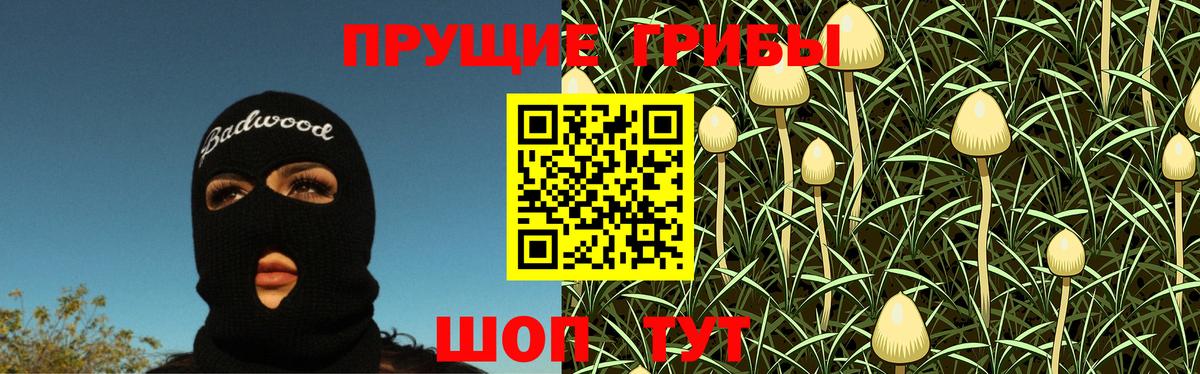 Галлюциногенные грибы MAGIC MUSHROOMS  Псилоцибиновые грибы мицелий  Вход с VPN  Кинель 