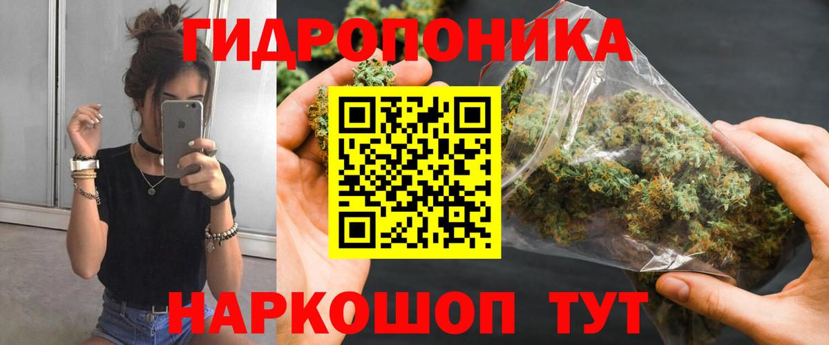 Конопля индика  Вход с VPN  Шишки марихуана конопля  Кинель 